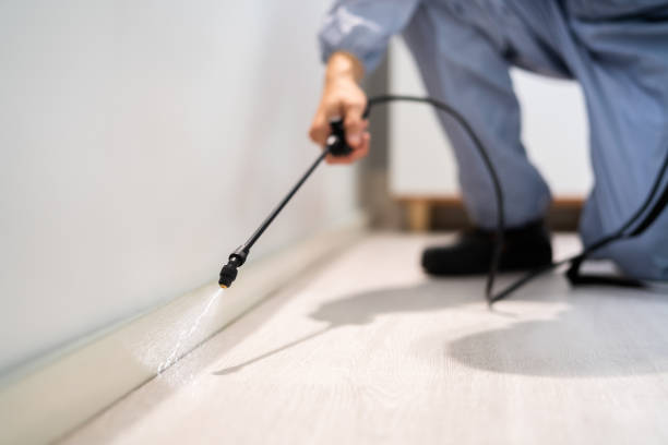 Licensed Termite Control service in St. Clair, MI - Nex Pest Control
