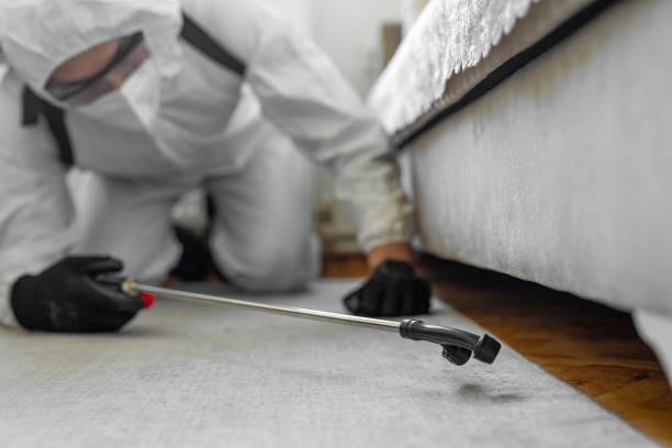 Professional Termite Control technician working in St. Clair, MI