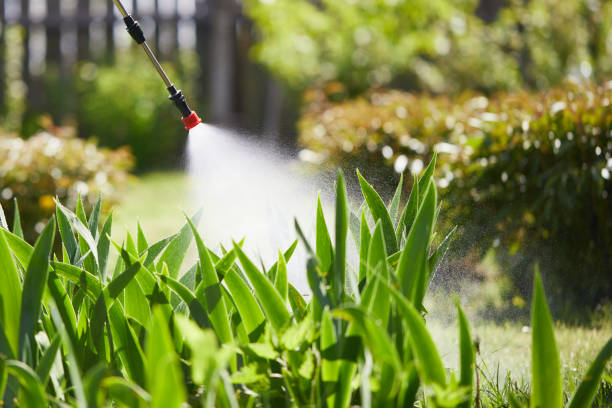 24/7 Emergency Termite Control experts in St. Clair, MI