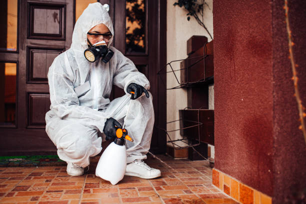 Reliable Termite Control contractor in St. Clair, MI by Nex Pest Control