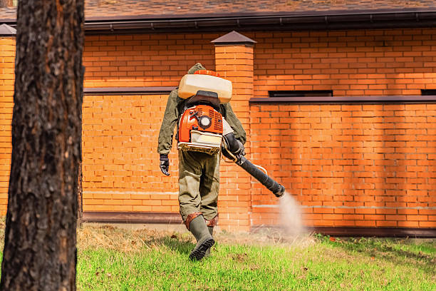 Top rated local Termite Control specialists in St. Clair, MI